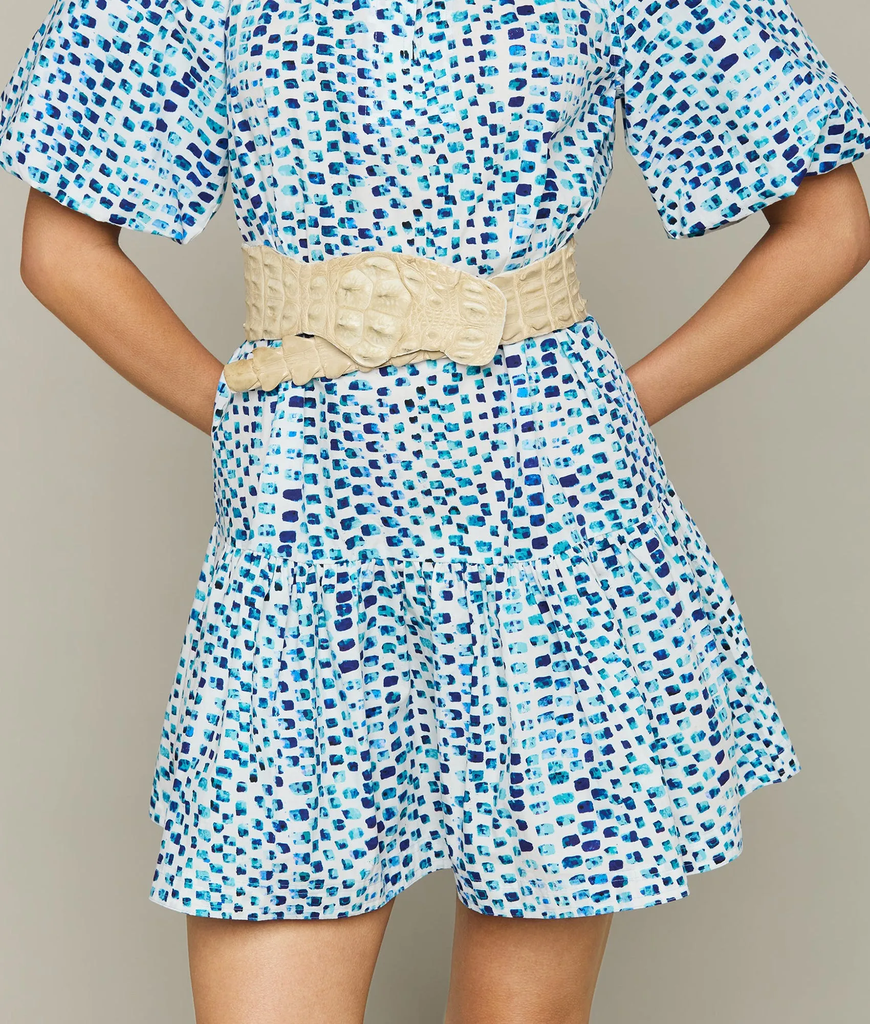 Groves Dress :: Multi Blue