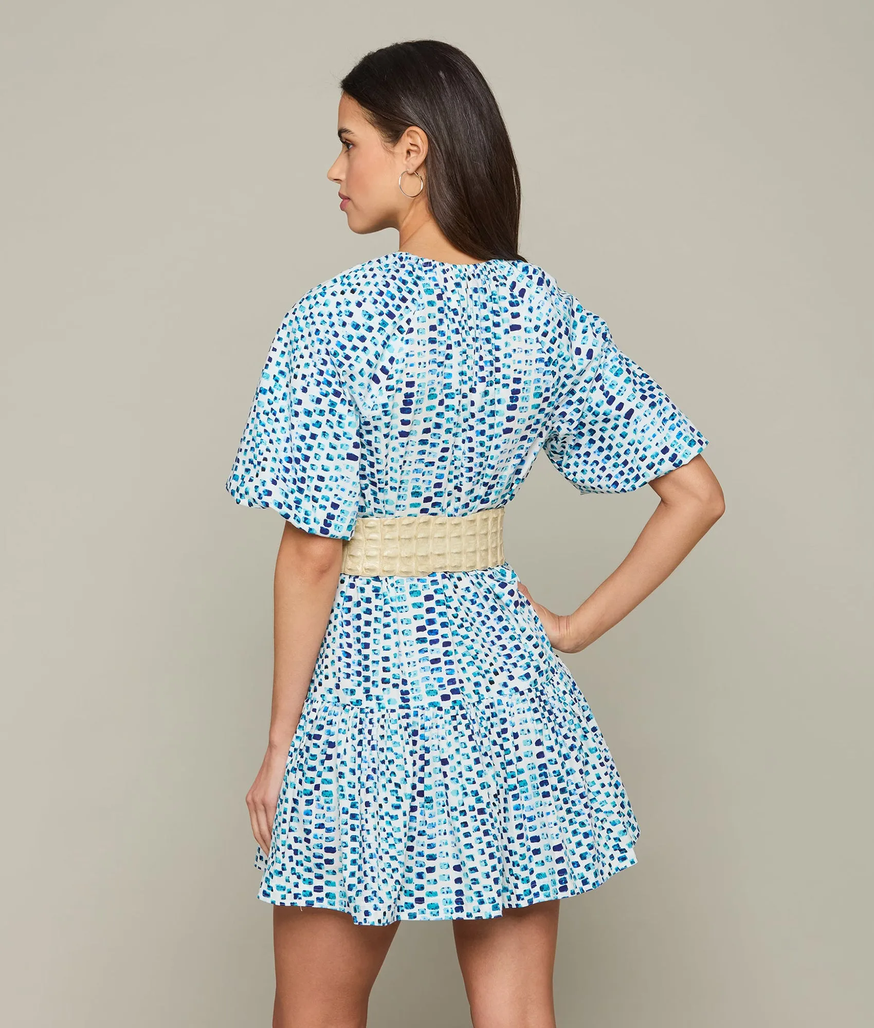 Groves Dress :: Multi Blue