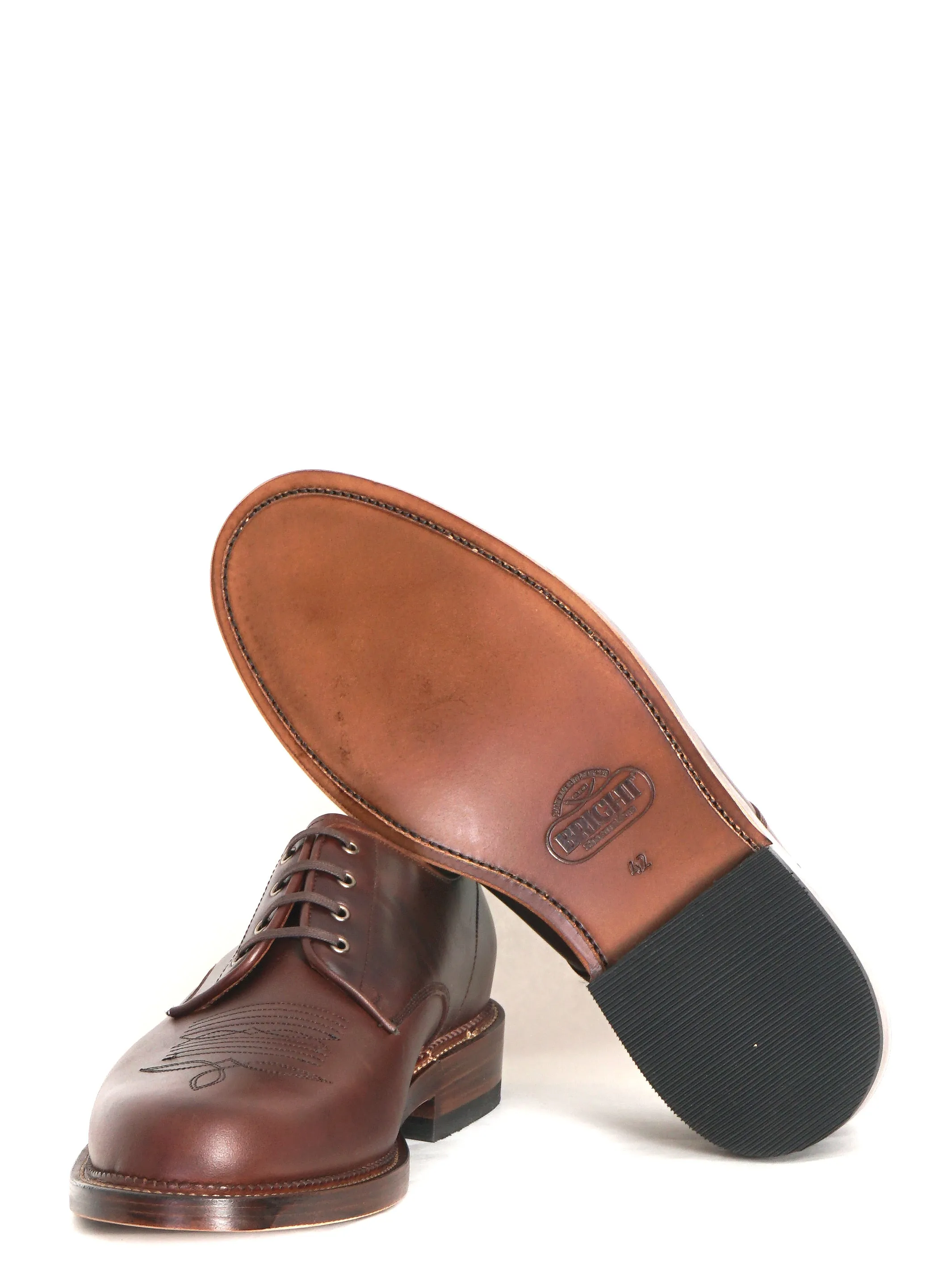 WESTERN DERBY | Chestnut