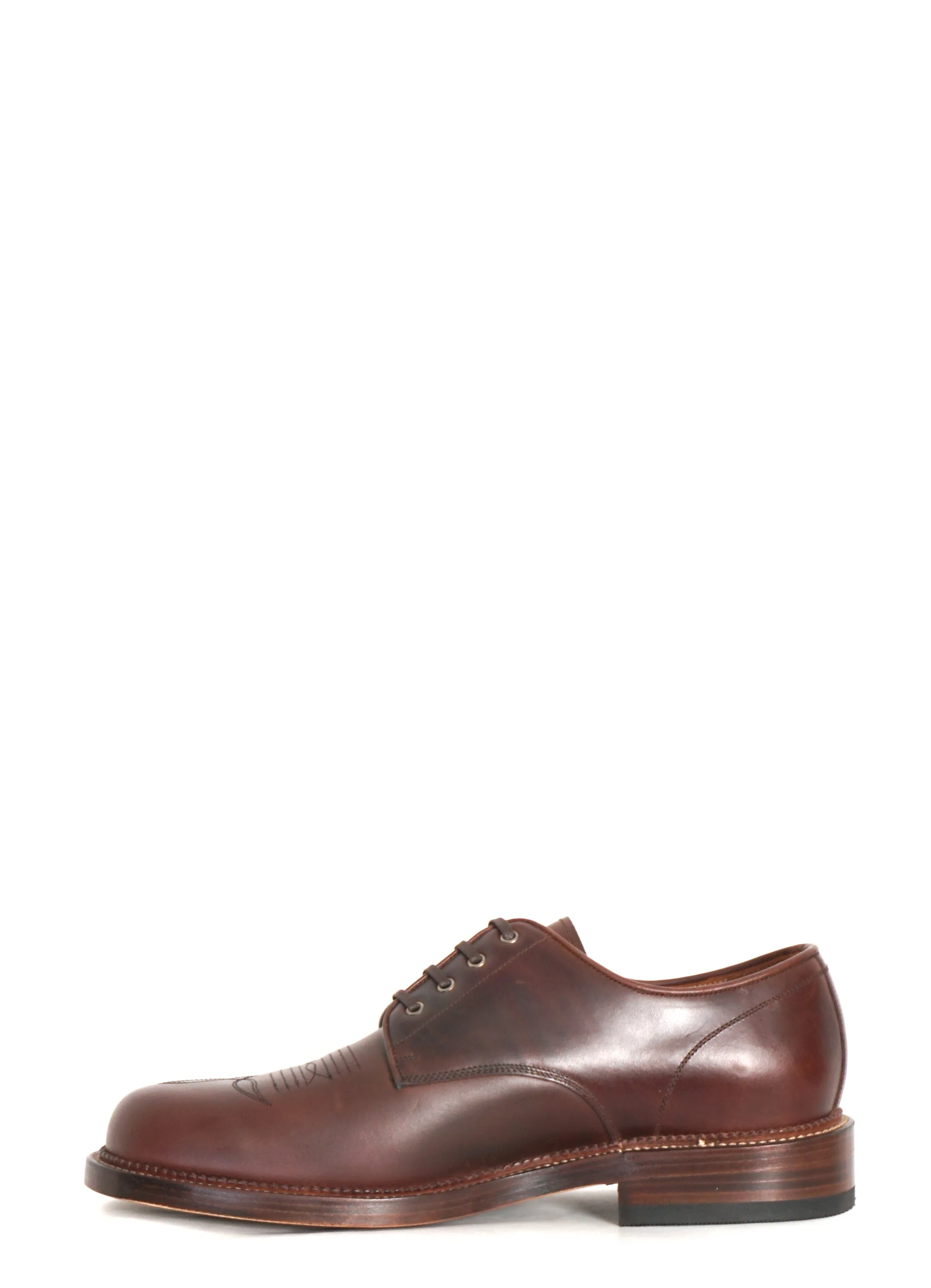 WESTERN DERBY | Chestnut